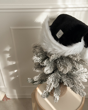 🎄Holiday Set – モノトーンセットアップ