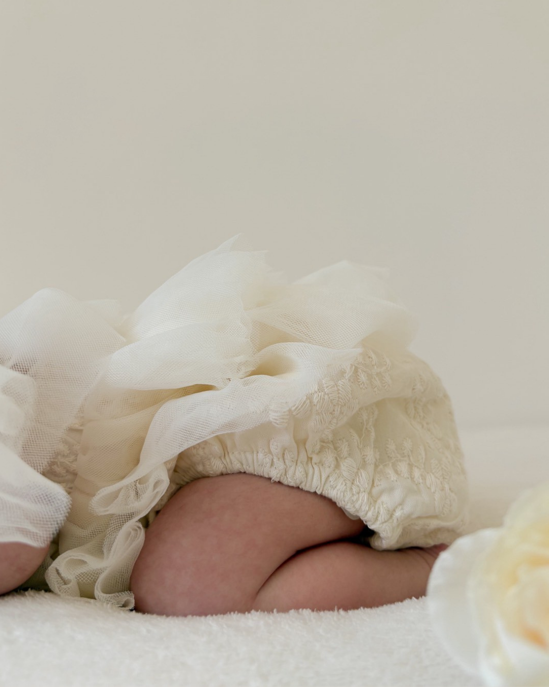 12_1554d81a-aefa-4632-b846-16a43c86e46d.png
