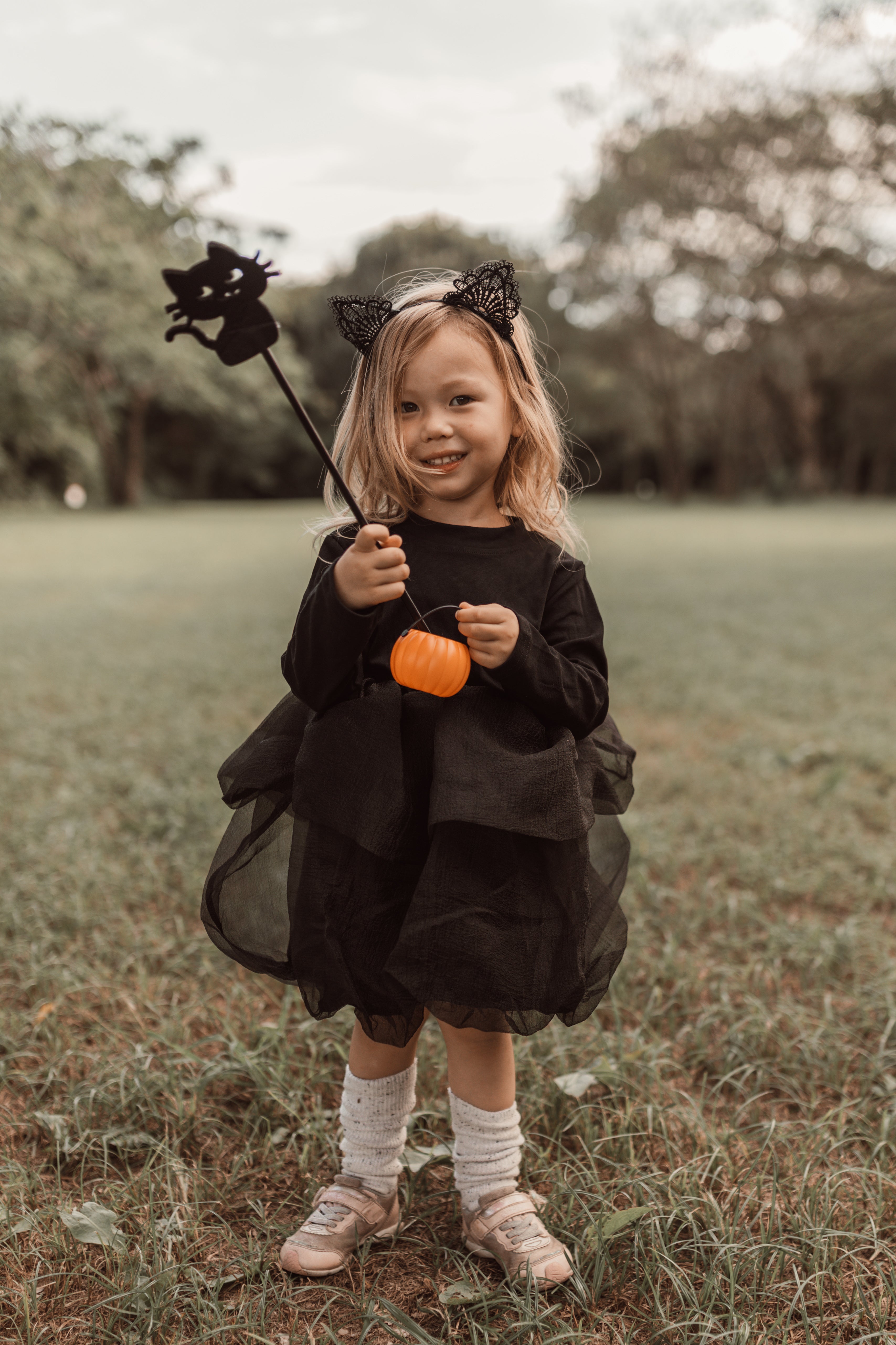 Halloween ︴ハロウィンセット