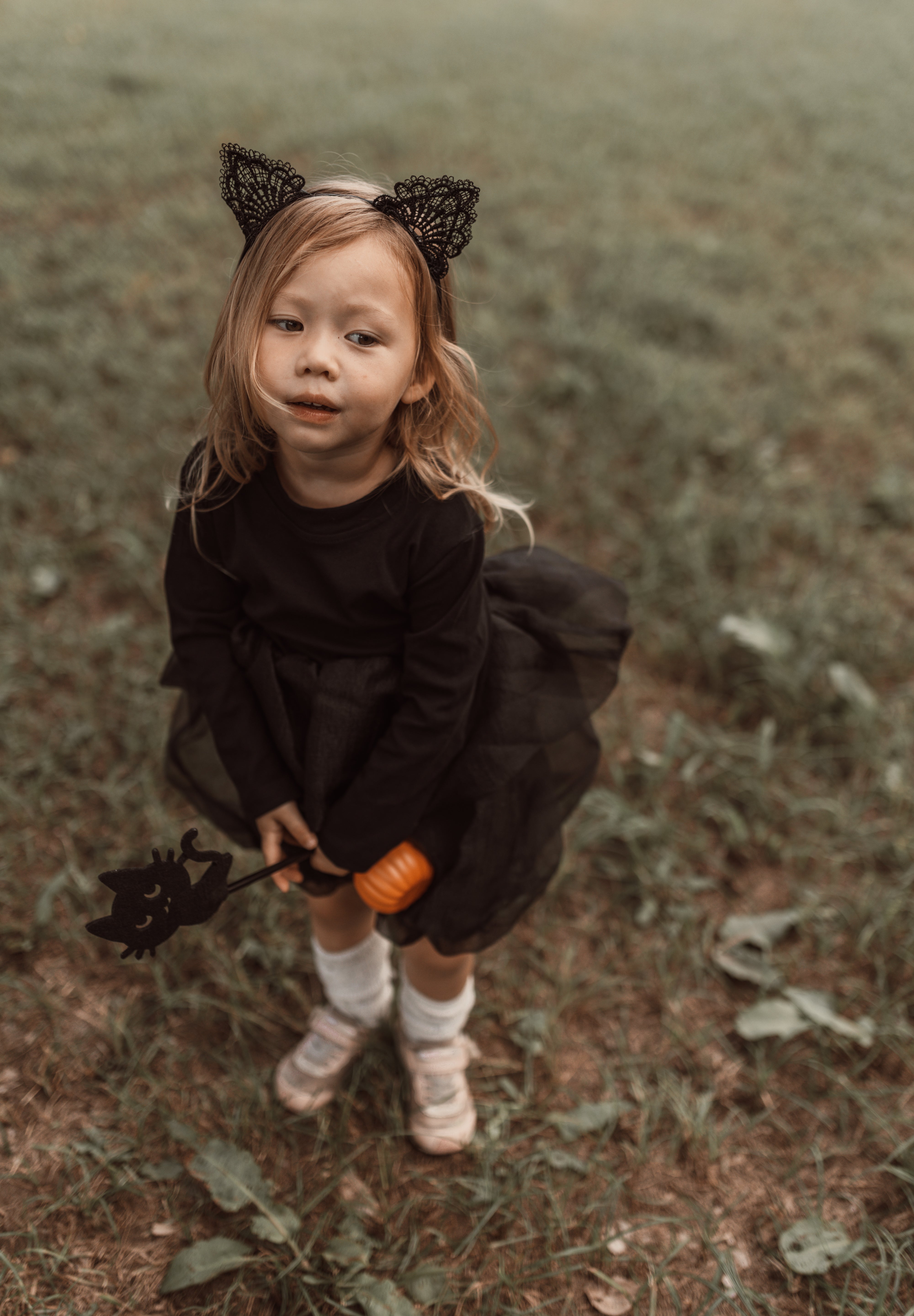 Halloween ︴ハロウィンセット