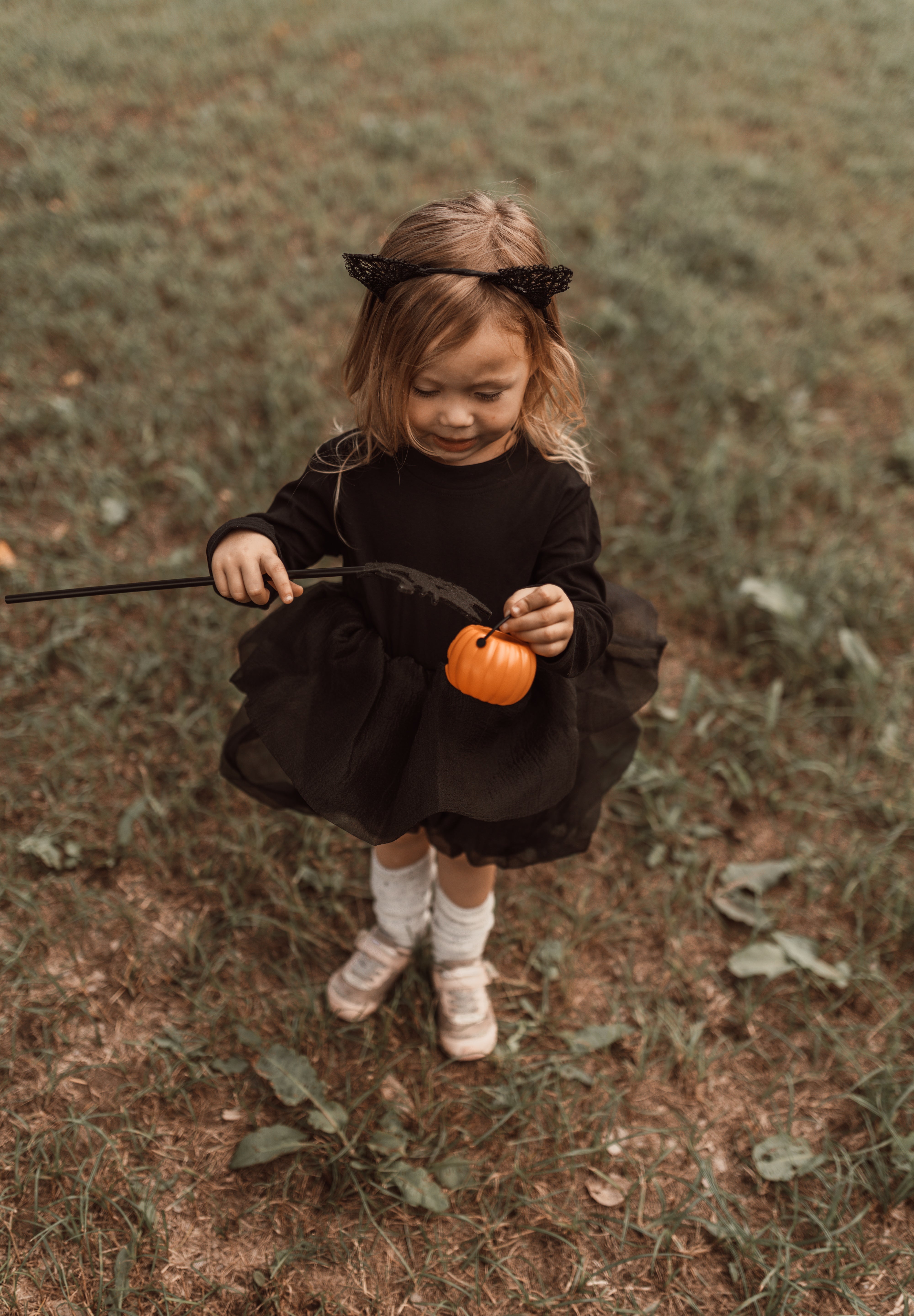 Halloween ︴ハロウィンセット