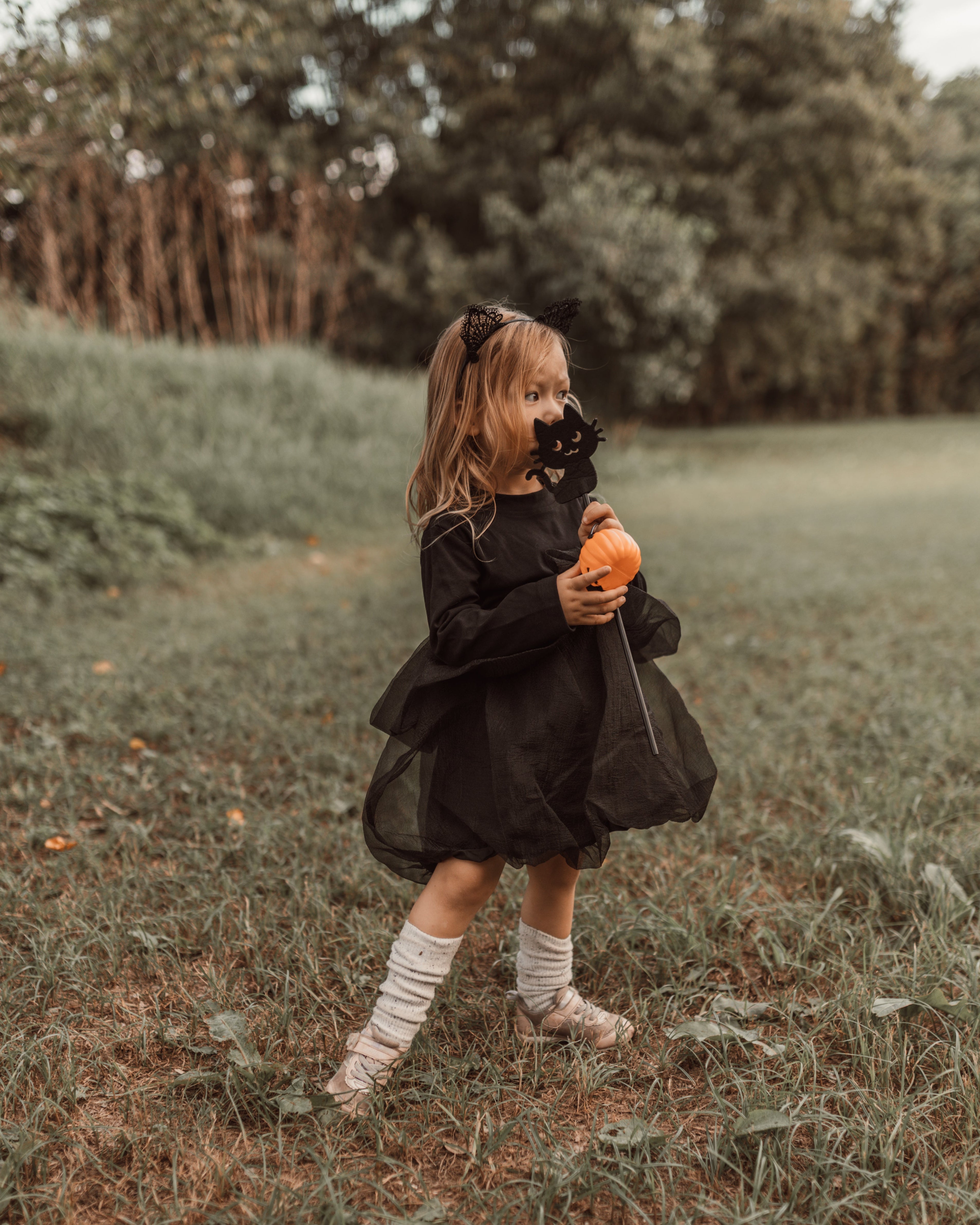 New products – ululu