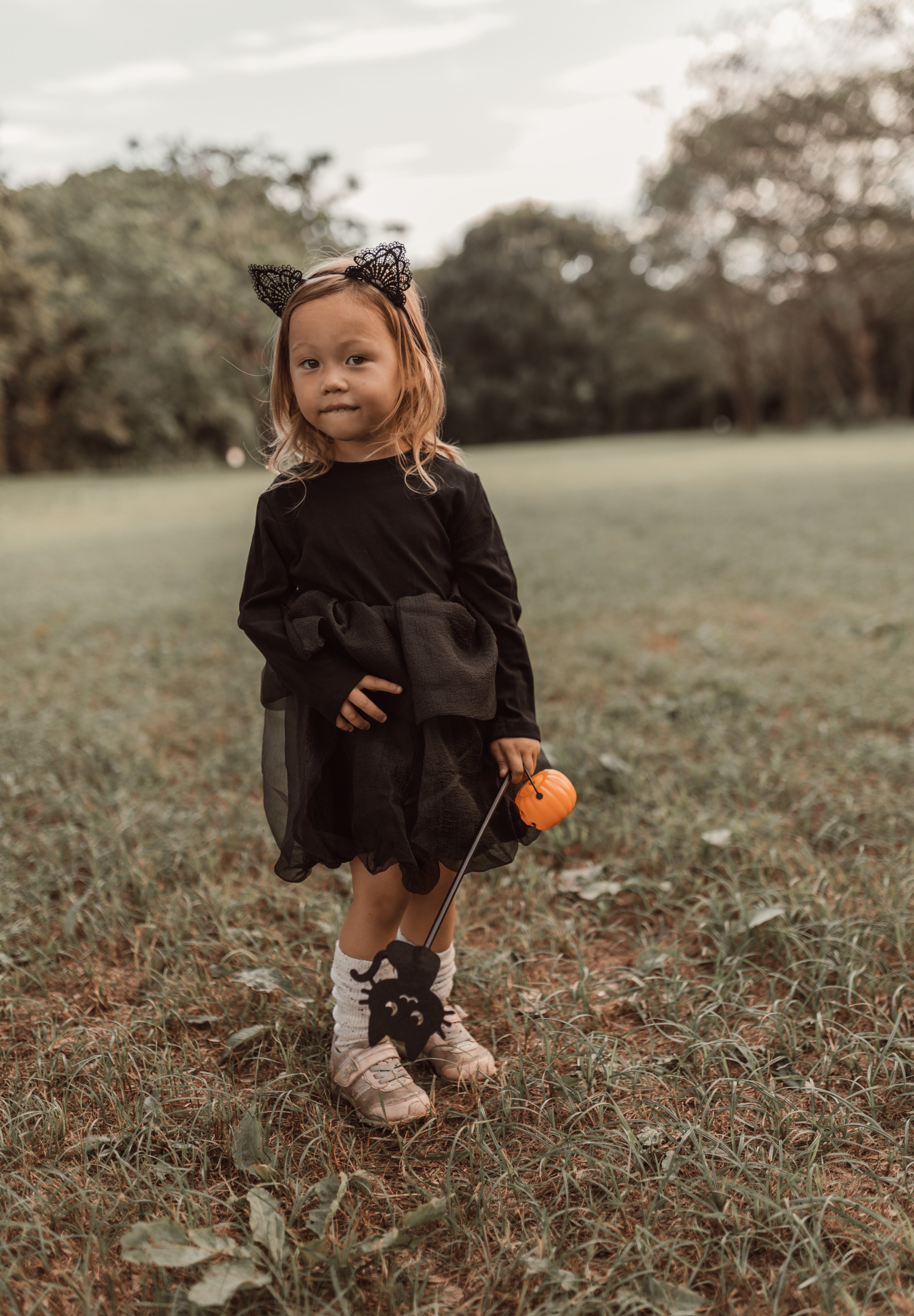 Halloween ︴ハロウィンセット