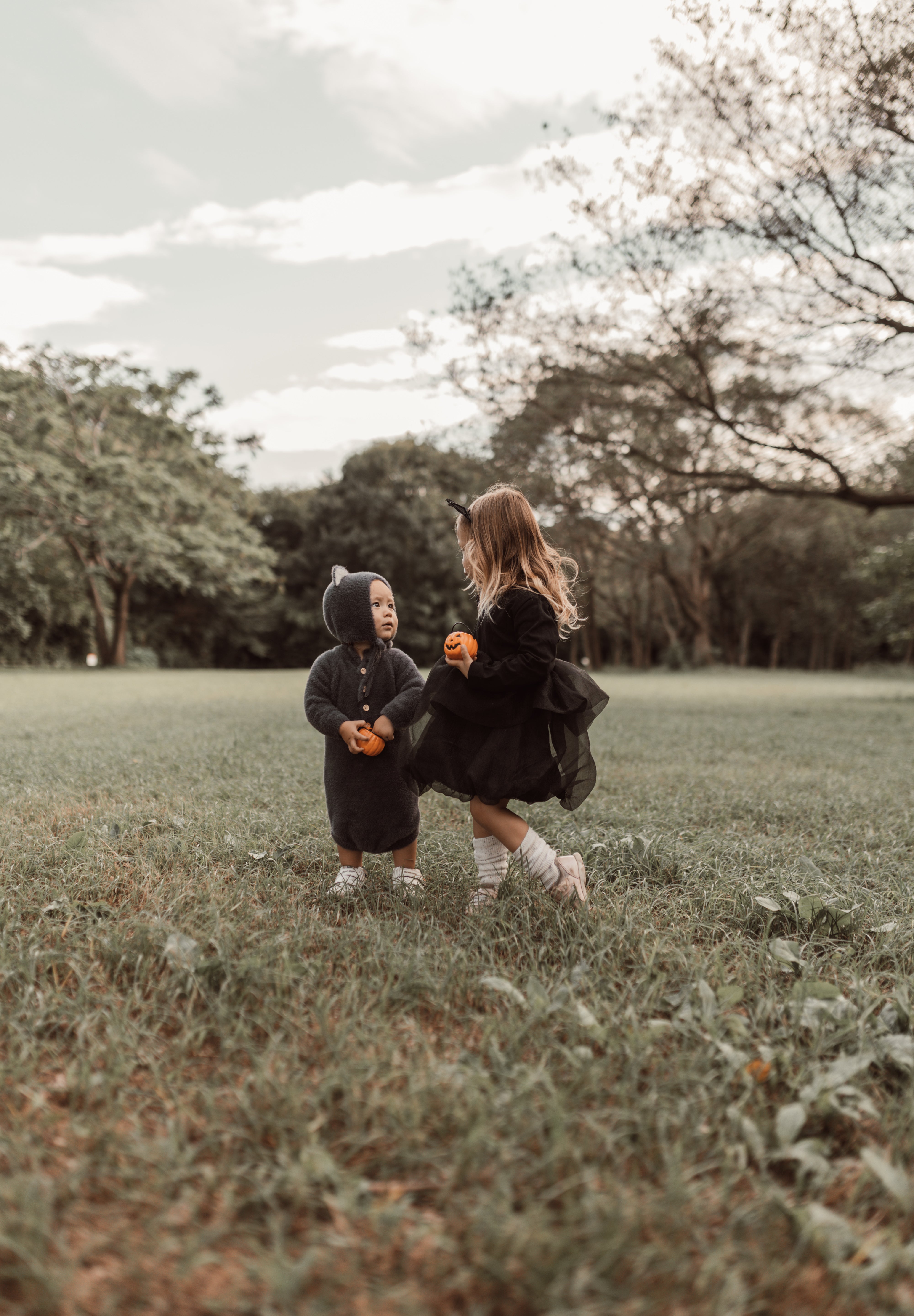 Halloween ︴ハロウィンセット