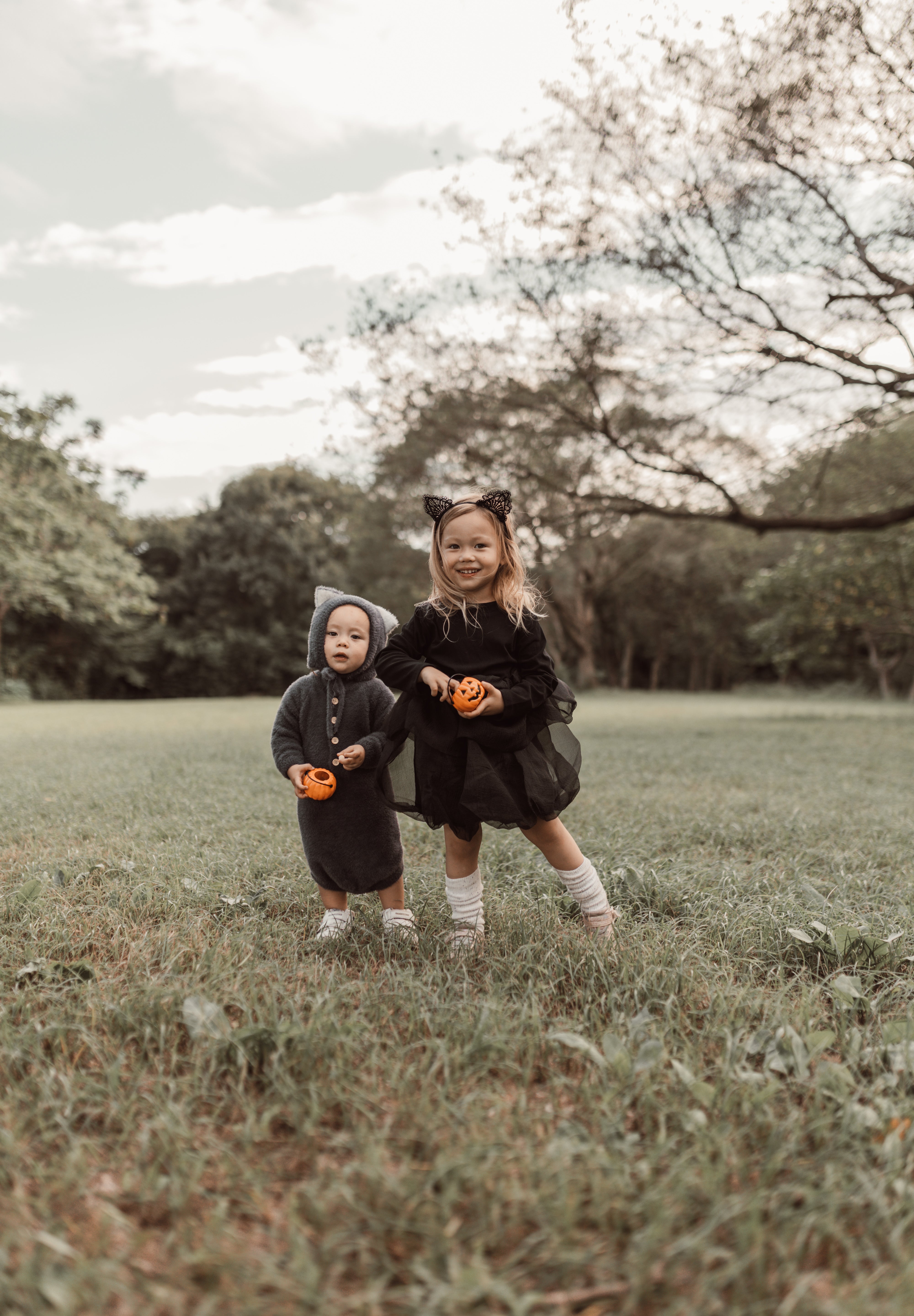 Halloween ︴ハロウィンセット