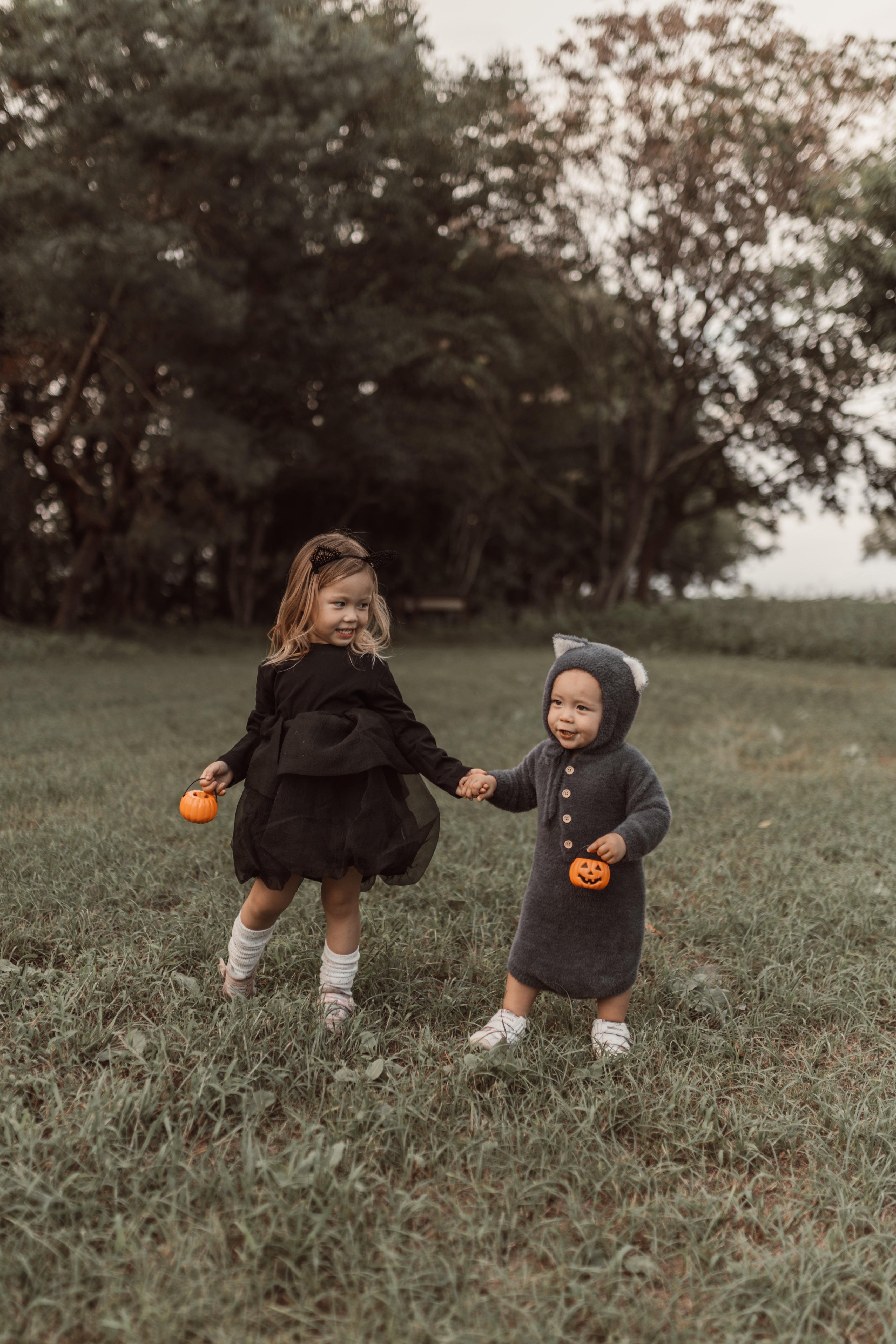 Halloween ︴ハロウィンセット