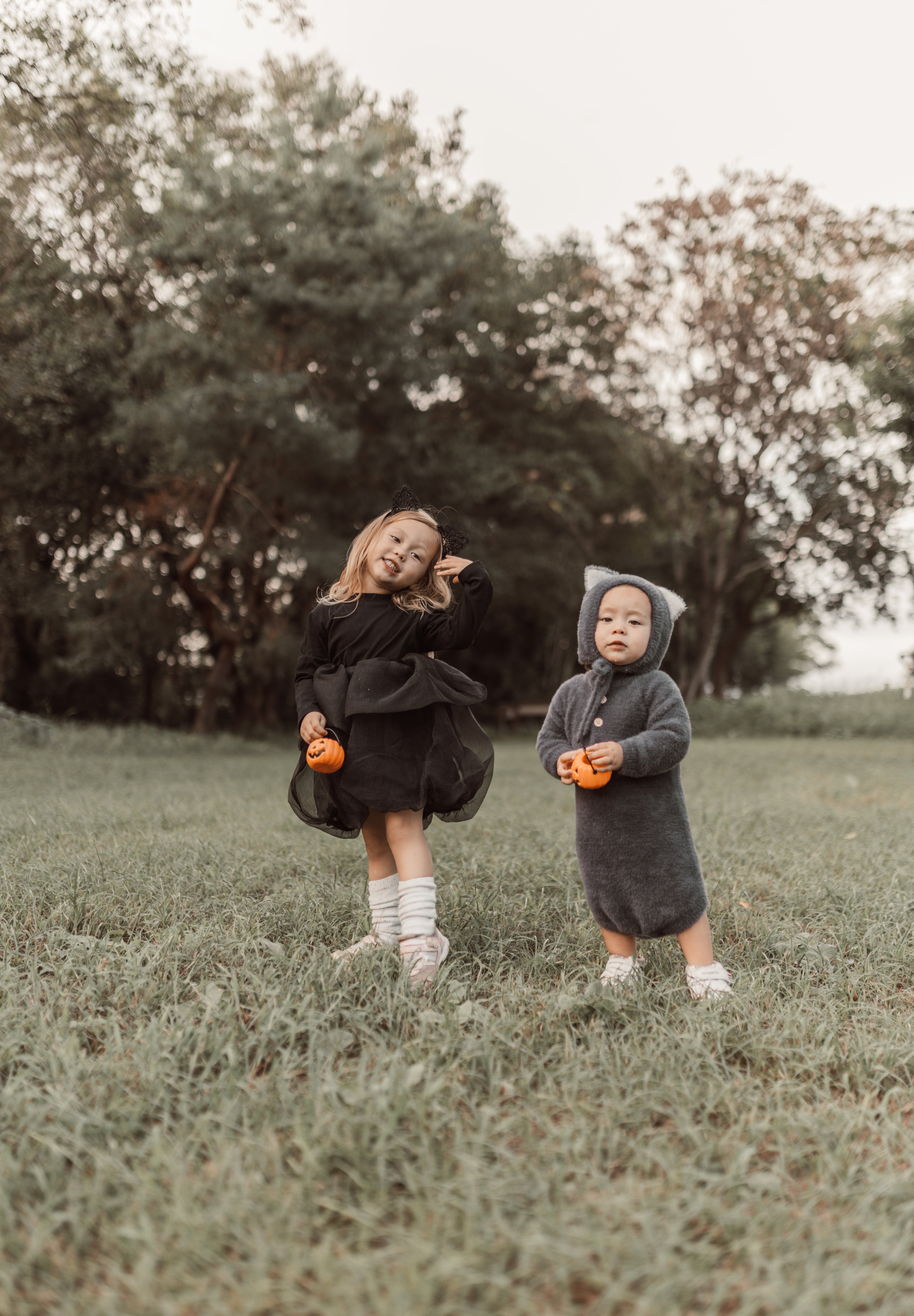 Halloween ︴ハロウィンセット