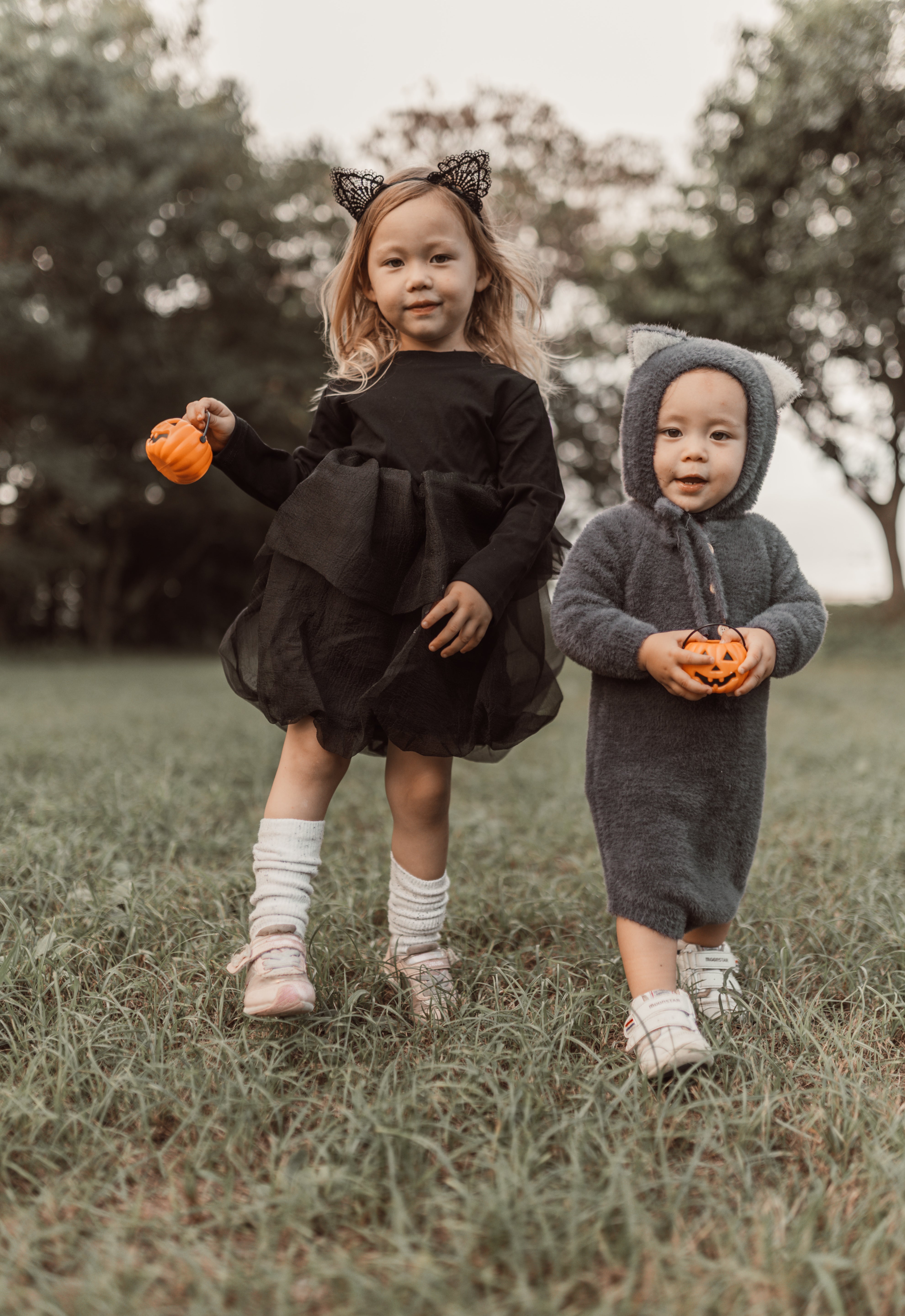Halloween ︴ハロウィンセット