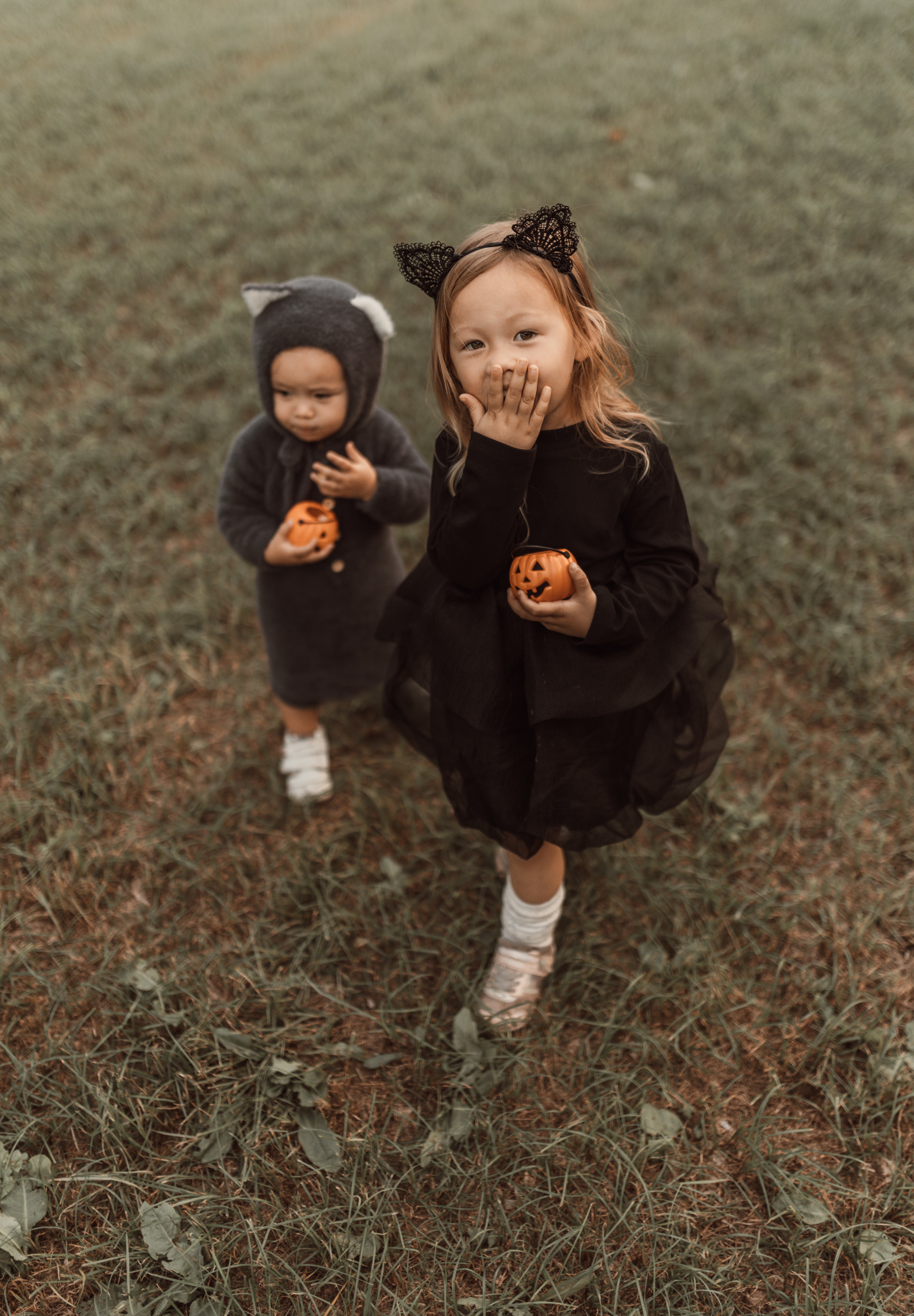 Halloween ︴ハロウィンセット
