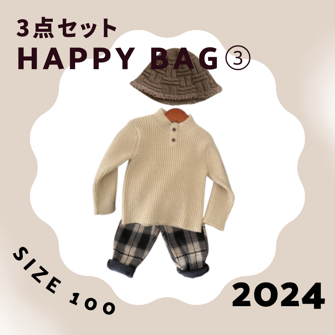 2024 HAPPY BAG③　～size100～