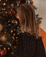 🎄Holiday Set – Noir Snow Collection