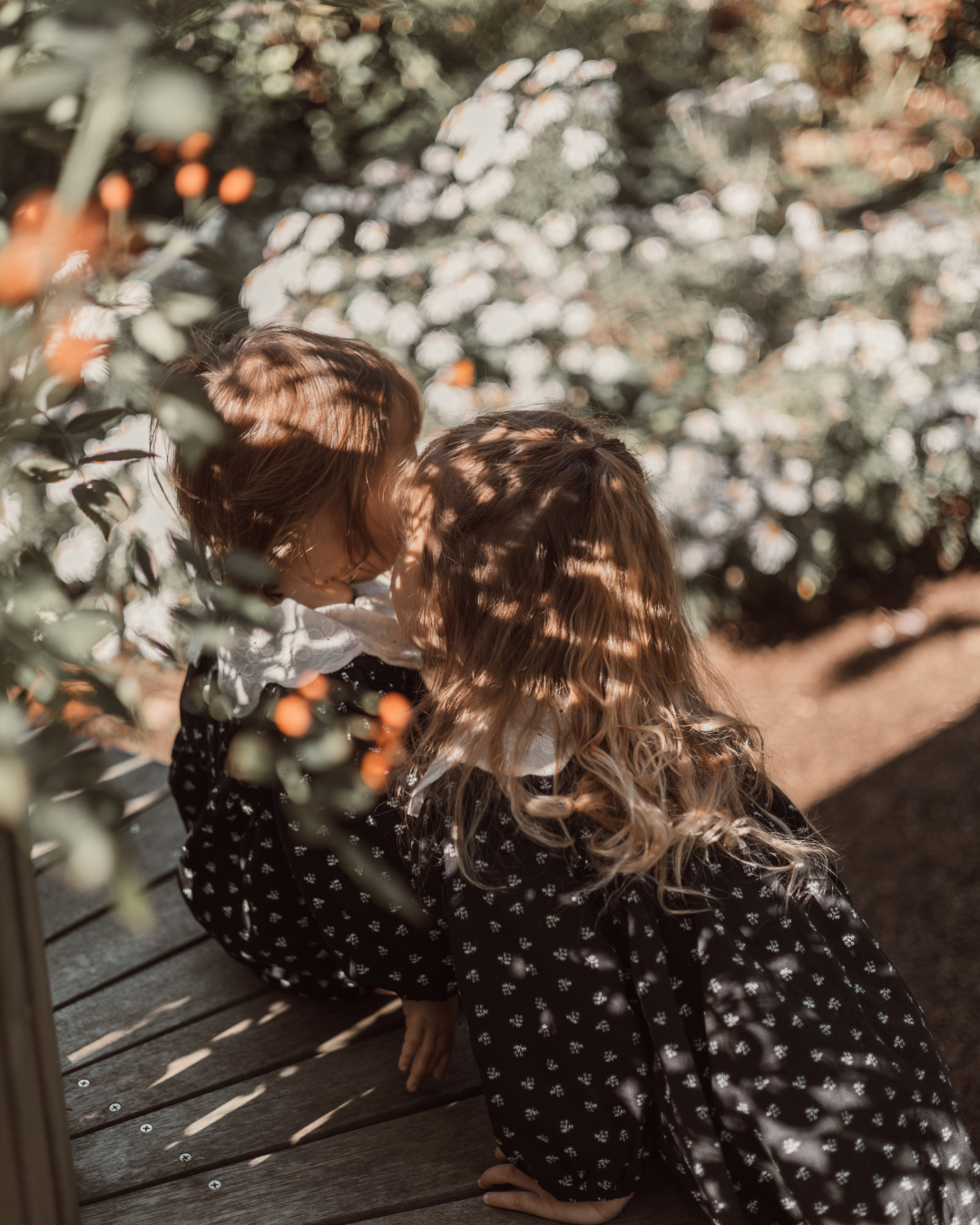 🎄Holiday Set – Noir Snow Collection