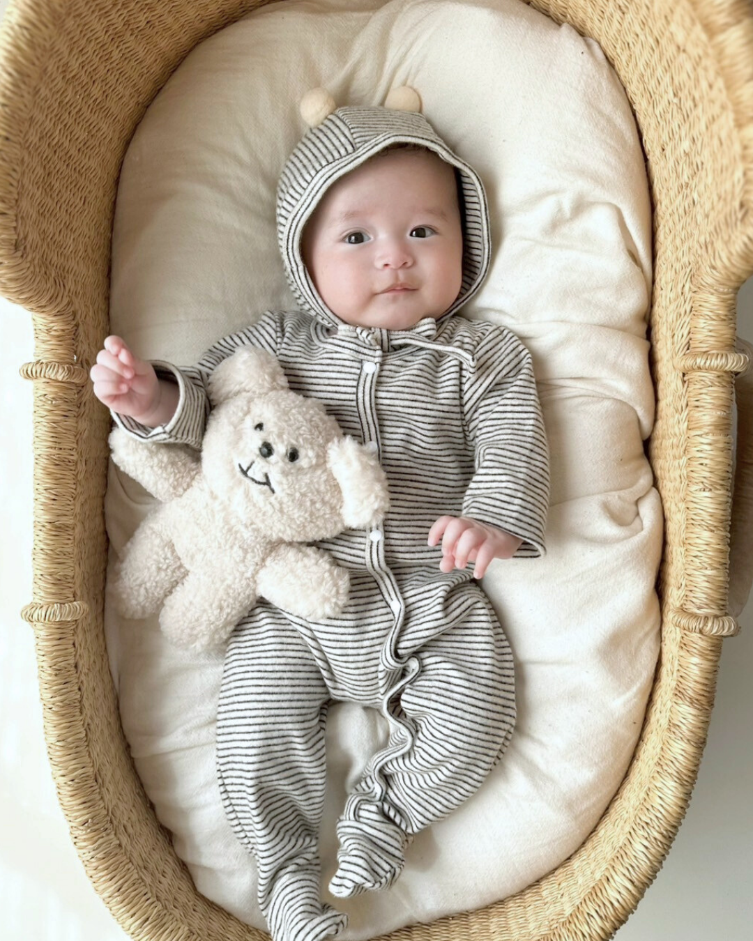 セット：newborn bear set